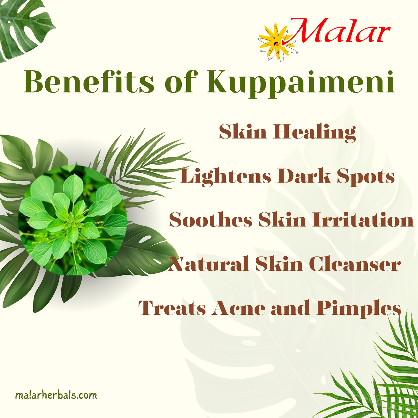 Kuppaimeni Soap 75g